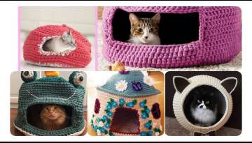 Knitting Cat House Models and Preparation