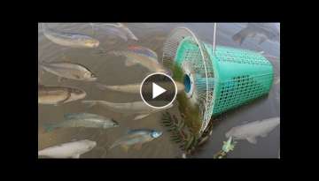 Creative Girl Make Fish Trap Using PVC - Fan Guard 