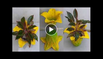 HOW TO MAKE DIY FLOWER DESIGN POT