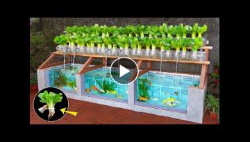 Super easy to DIY aquarium combined with growing organic vegetables
