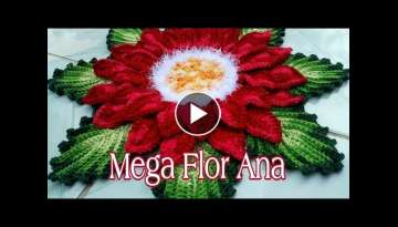  Mega Flor Ana