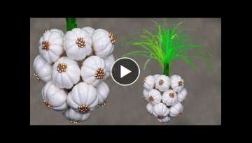 Garlic make with Cotton
