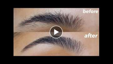 HOW TO GROOM SHAPE YOUR EYEBROWS