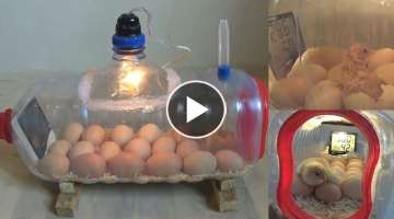 How To Make a Home Incubator Simple And Easy 