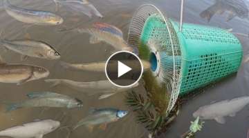 Creative Girl Make Fish Trap Using PVC - Fan Guard 