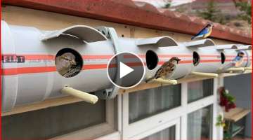 Birdhouse Making From PVC Pipes