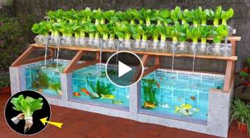 Super easy to DIY aquarium combined with growing organic vegetables